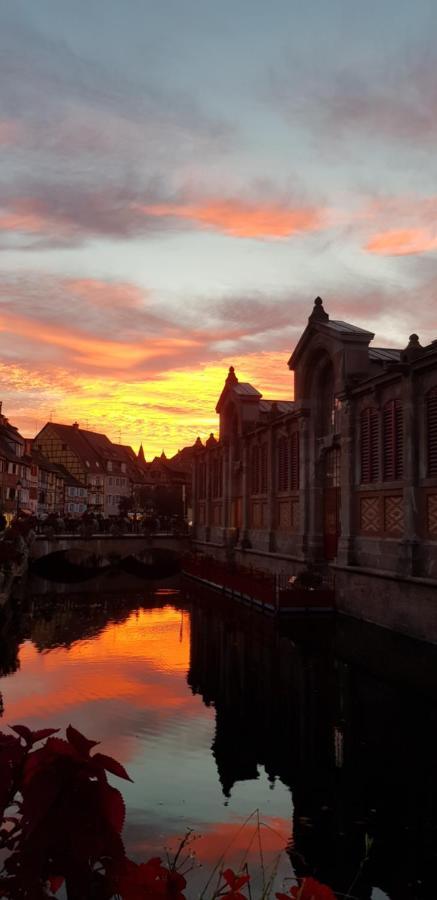 New ! Vue Petite Venise, Place To Be - Parking Colmar Luaran gambar