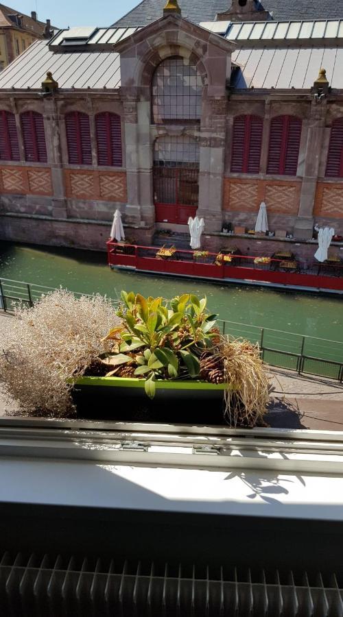 New ! Vue Petite Venise, Place To Be - Parking Colmar Luaran gambar