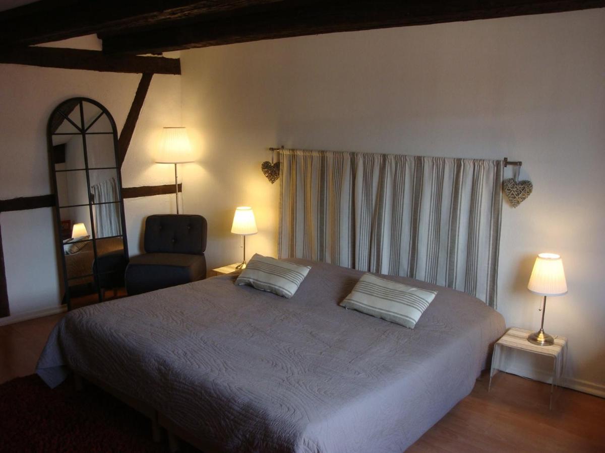 New ! Vue Petite Venise, Place To Be - Parking Colmar Luaran gambar