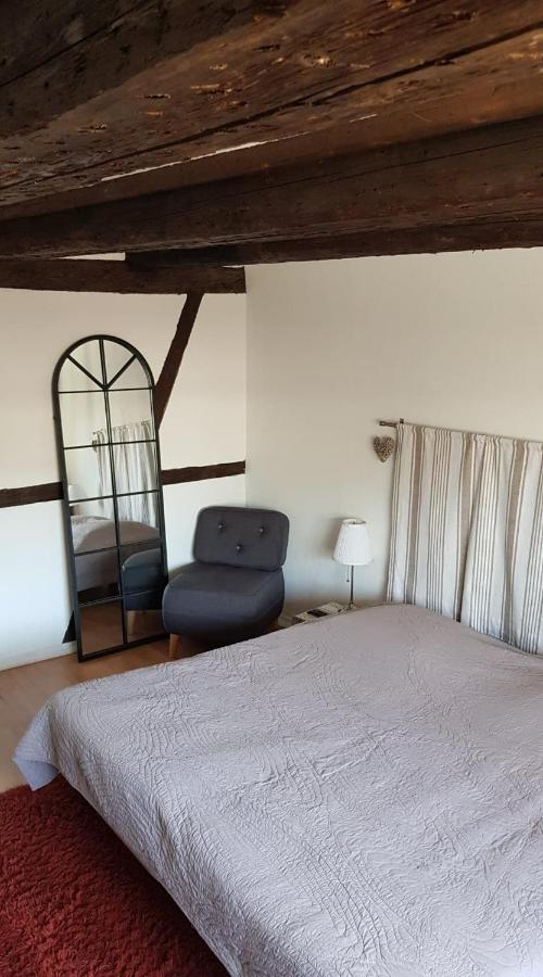 New ! Vue Petite Venise, Place To Be - Parking Colmar Luaran gambar